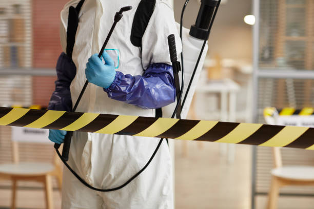 Professional Biohazard technician working in Longbranch, WA